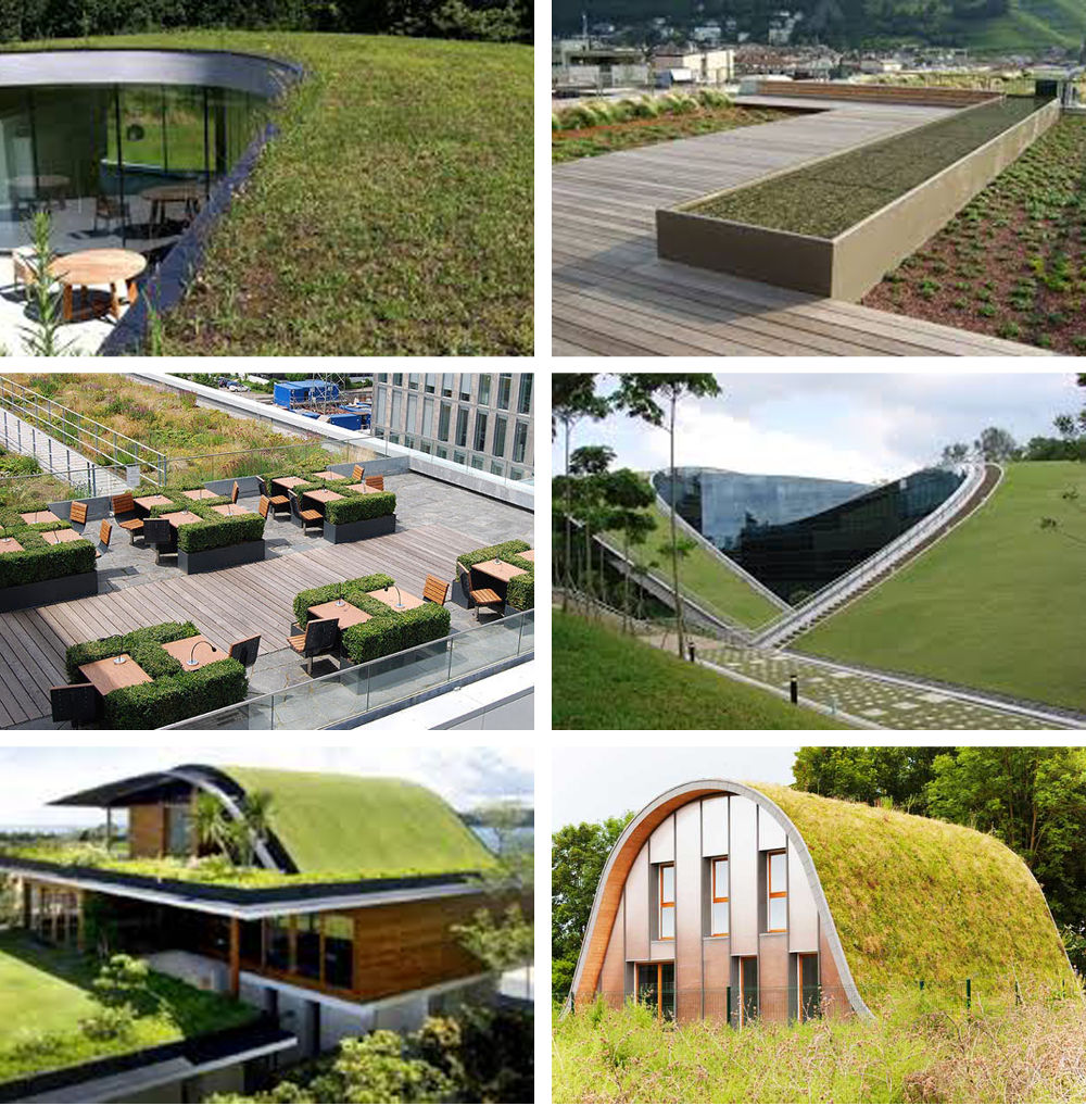 spazi comuni potenzialità e vocazione - tetto giardino